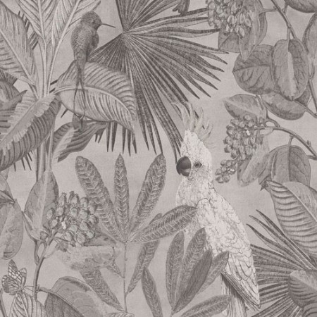 Bild på Tropics - 220120