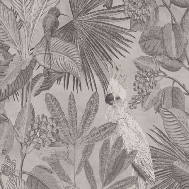 Bild på Tropics - 220120