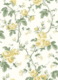 Attēls French Roses - 7213