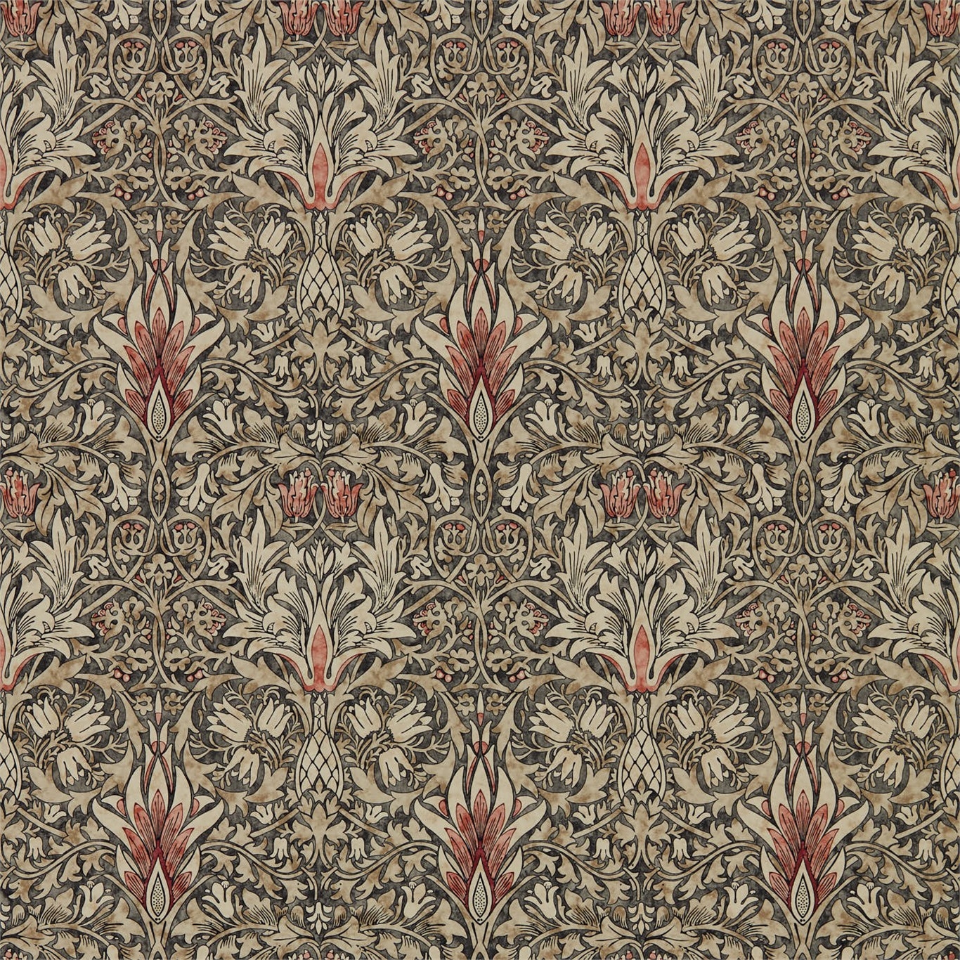 Image de Snakeshead Charcoal/Spice - 216425