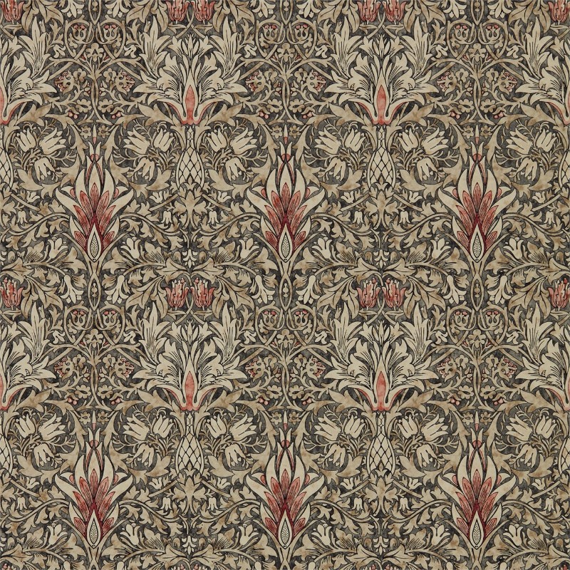 Image de Snakeshead Charcoal/Spice - 216425