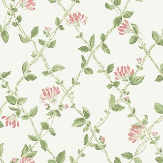 Picture of Honeysuckle - 8852