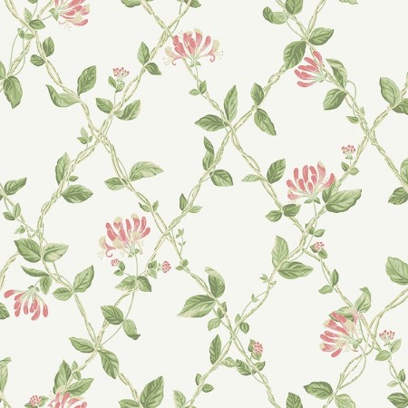 Picture of Honeysuckle - 8852