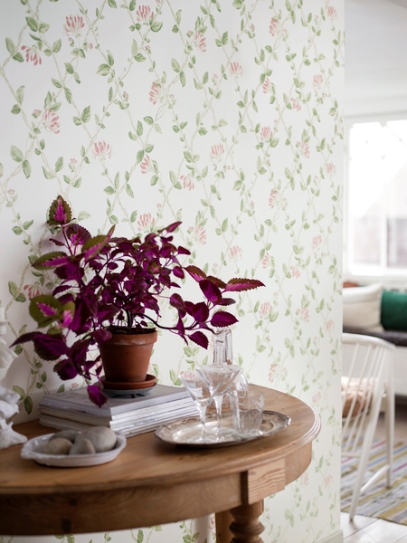 Picture of Honeysuckle - 8852