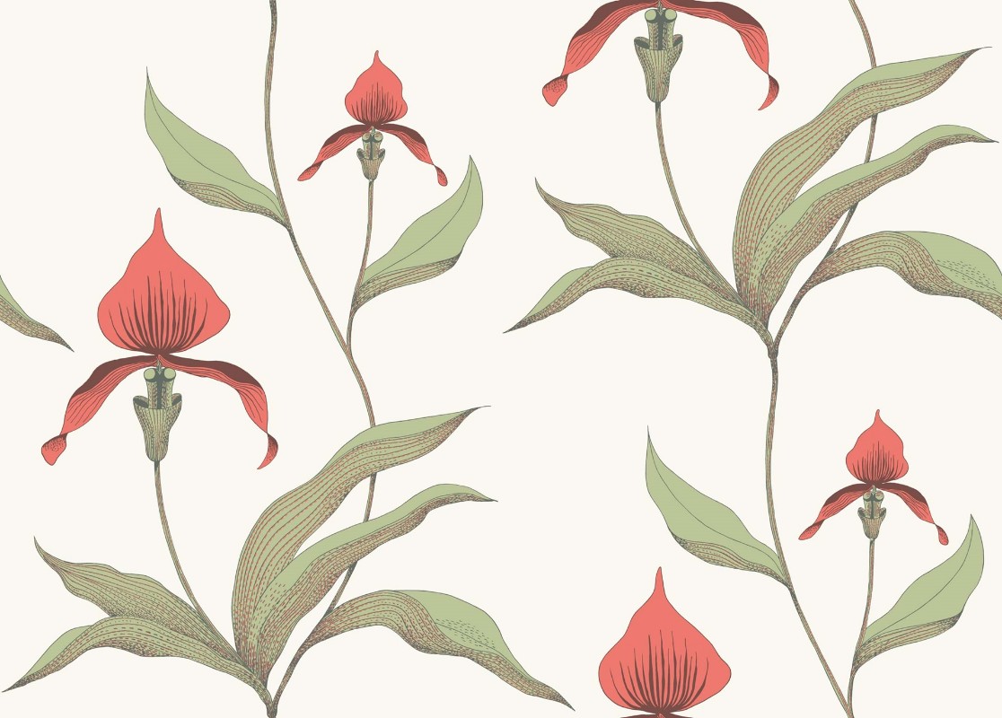 Image de Orchid - 95/10054