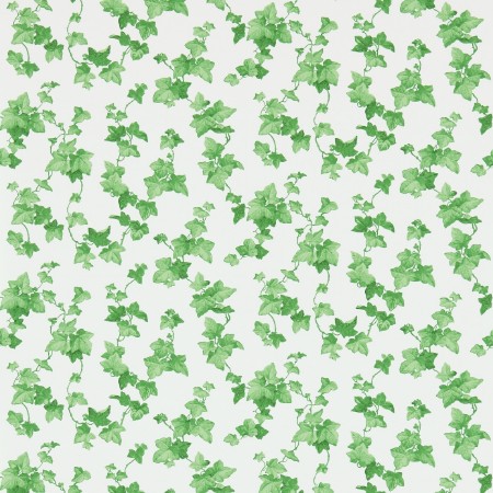 Εικόνα της Hedera Green - 214593