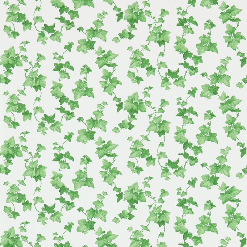 Obrázok z Hedera Green - 214593