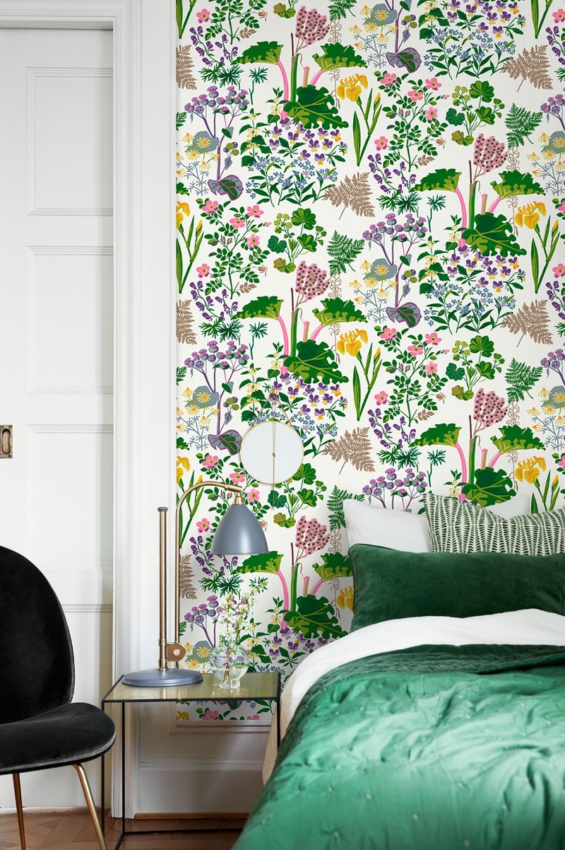 Image de Rabarber - 1792