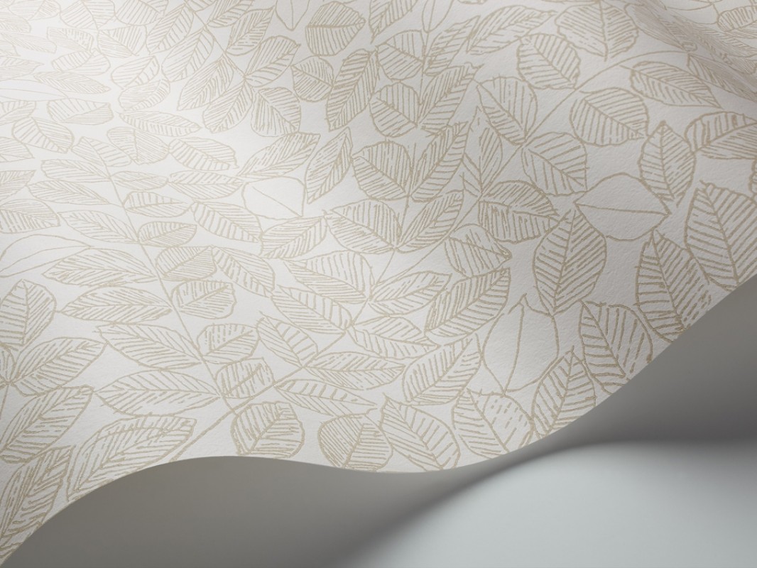 Obrázok z Romans - 1767