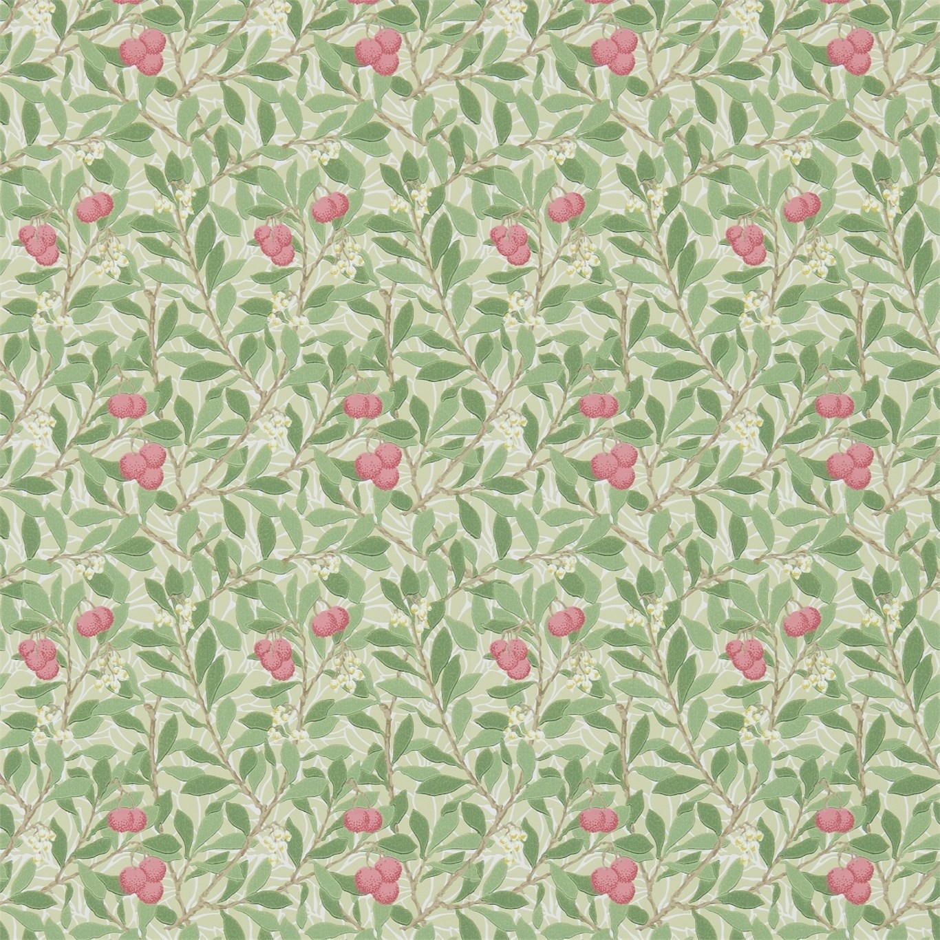 Poza cu Arbutus Olive/Pink - DM3W214720