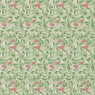 Picture of Arbutus Olive/Pink - DM3W214720