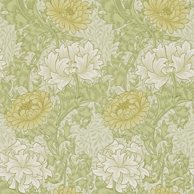 Obrazek Chrysanthemum Pale Olive - 212545