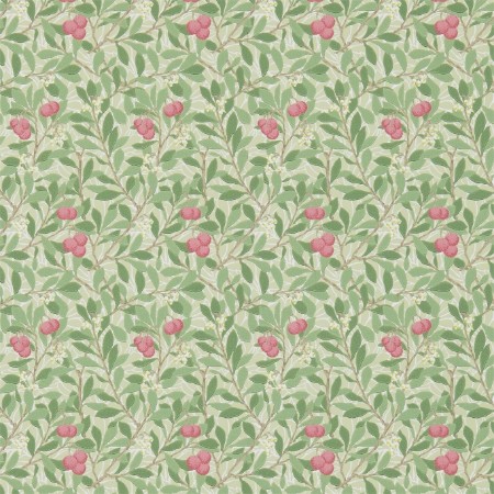 Bild vun Arbutus Olive/Pink - DM3W214720