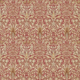 Image de Snakeshead Madder/Gold - 216426