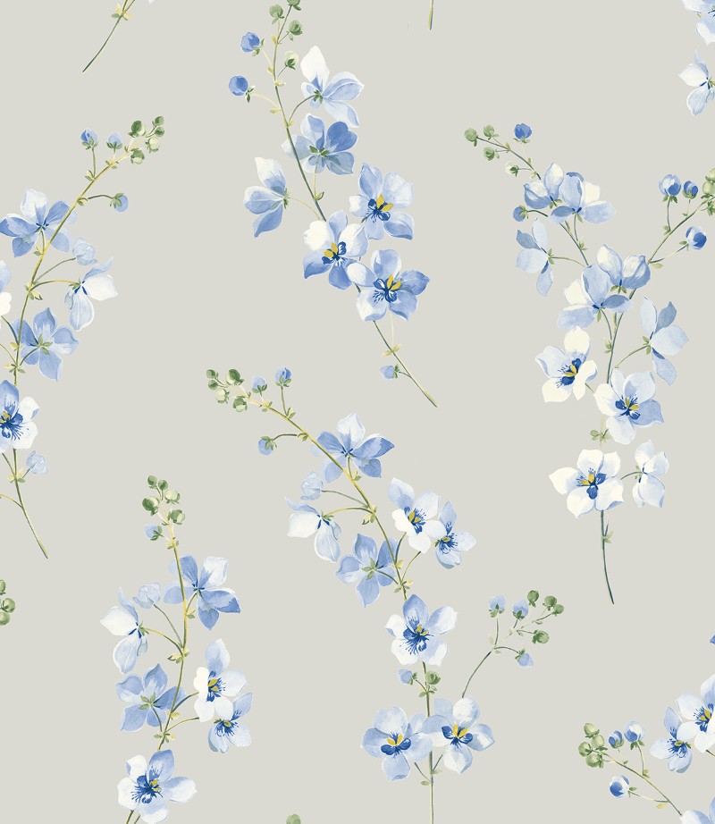 Picture of Stonyhurst - NH50202