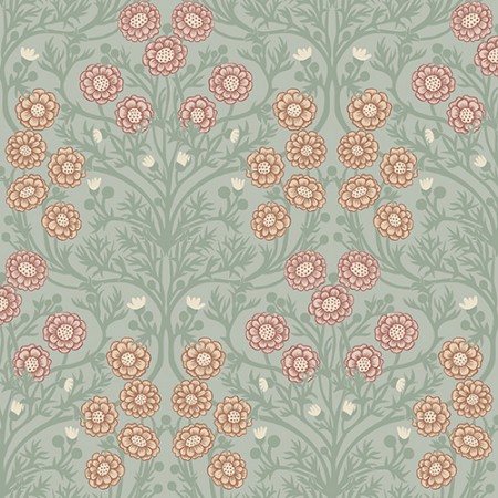 Picture of Bellis - 14017