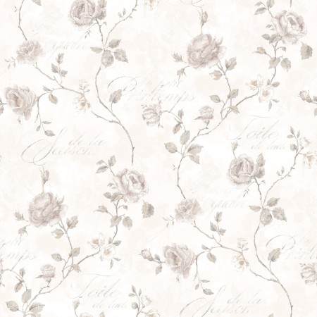 Image de Vintage Roses - G45325