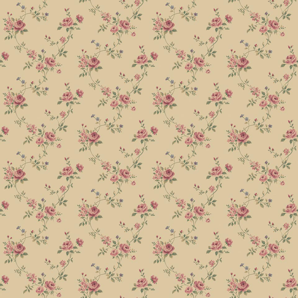 Afbeeldingen van Miniatyrer - G67894