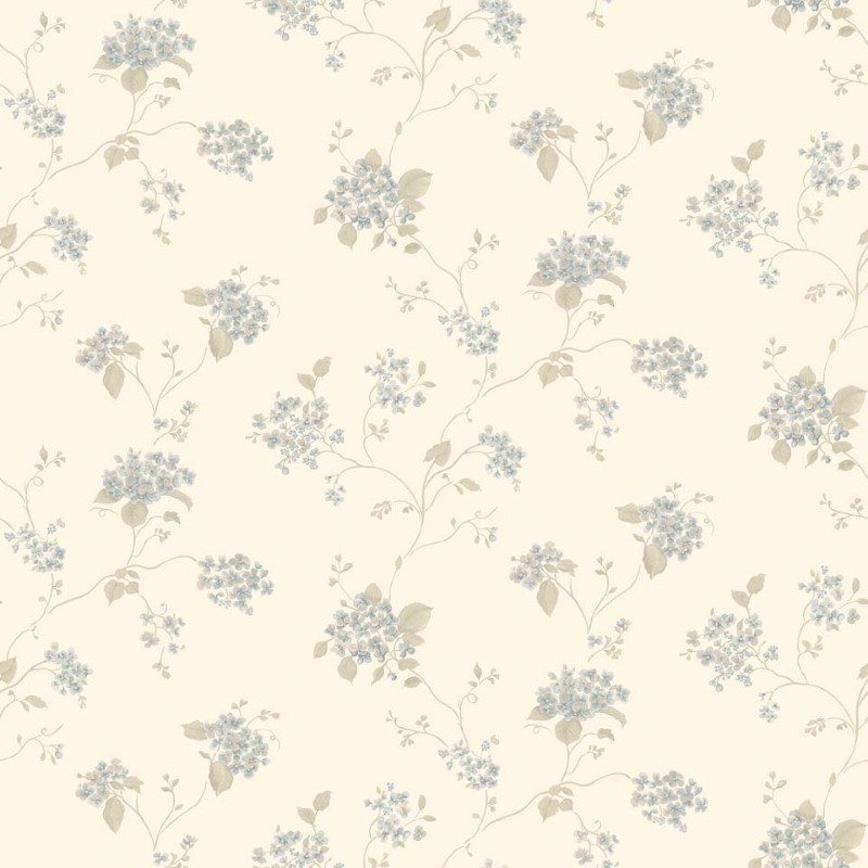Attēls Hydrangea Trail - G67865