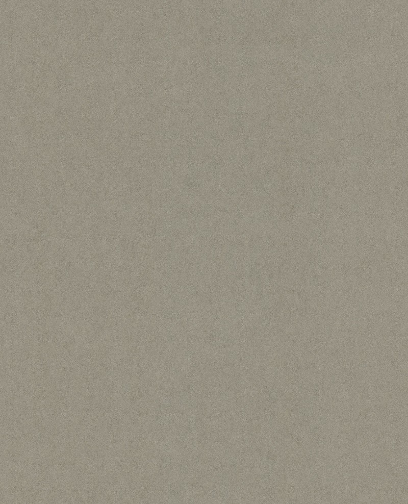 Picture of Yasmin - 341796