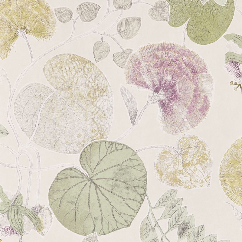 Bild von Dardanella Linden/Heather - HGAT111259