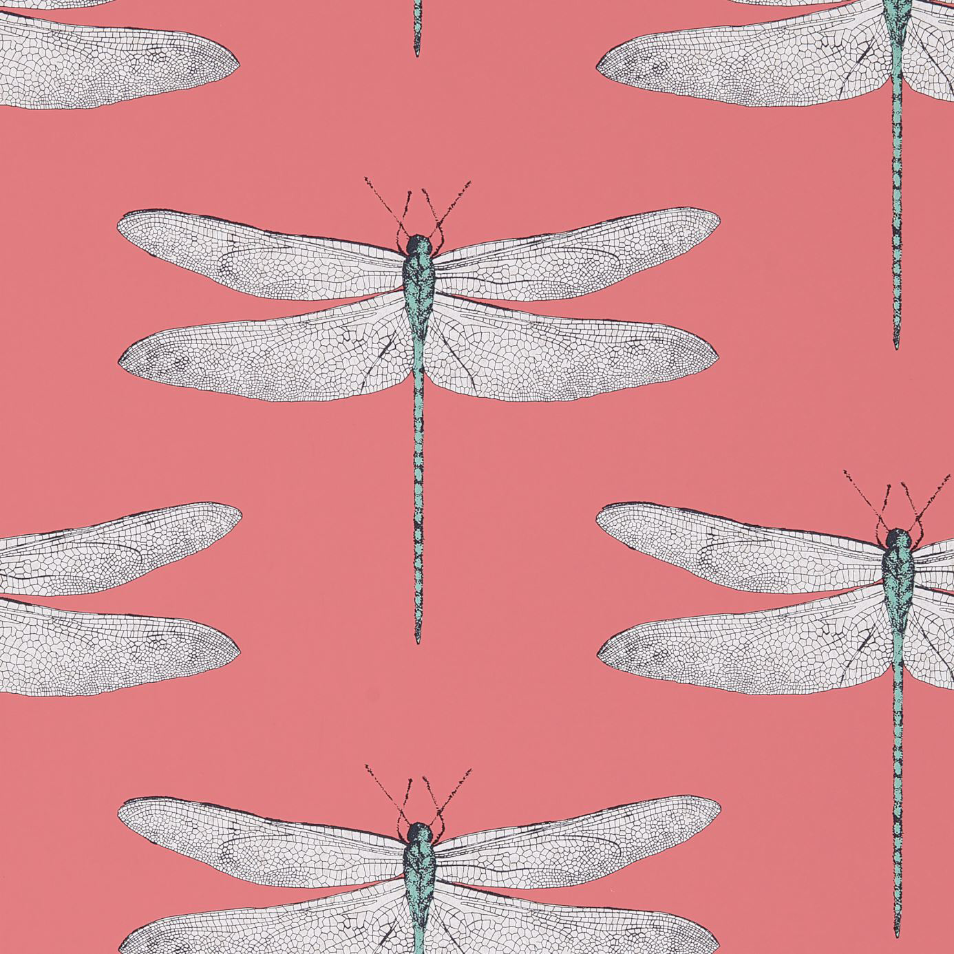 Picture of Demoiselle - HGAT111245