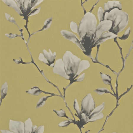 Lotus - HMOW110879 wallpaper 