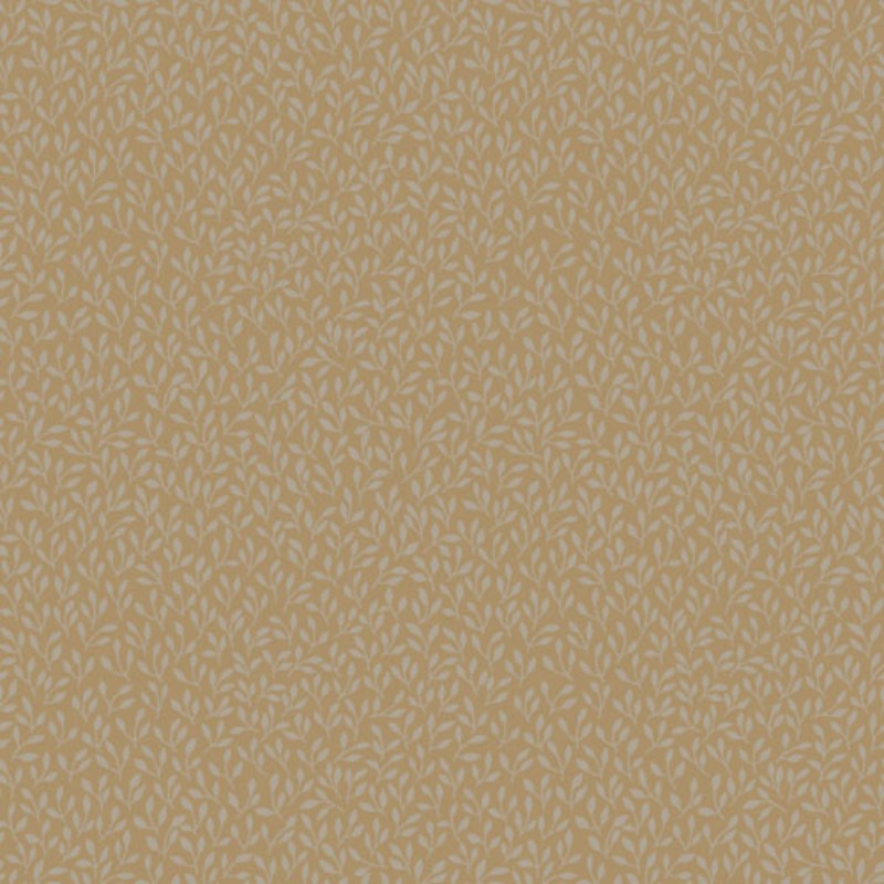 Ritratt ta’ Saga - 39015