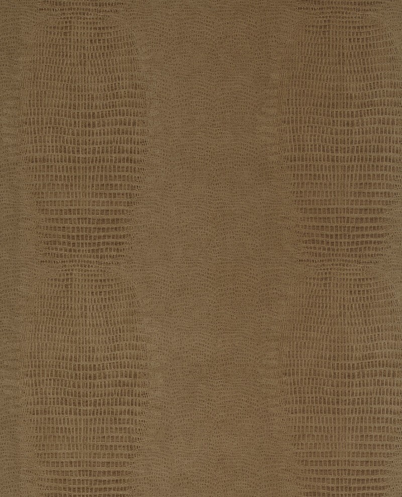 Image de Skin - 300571