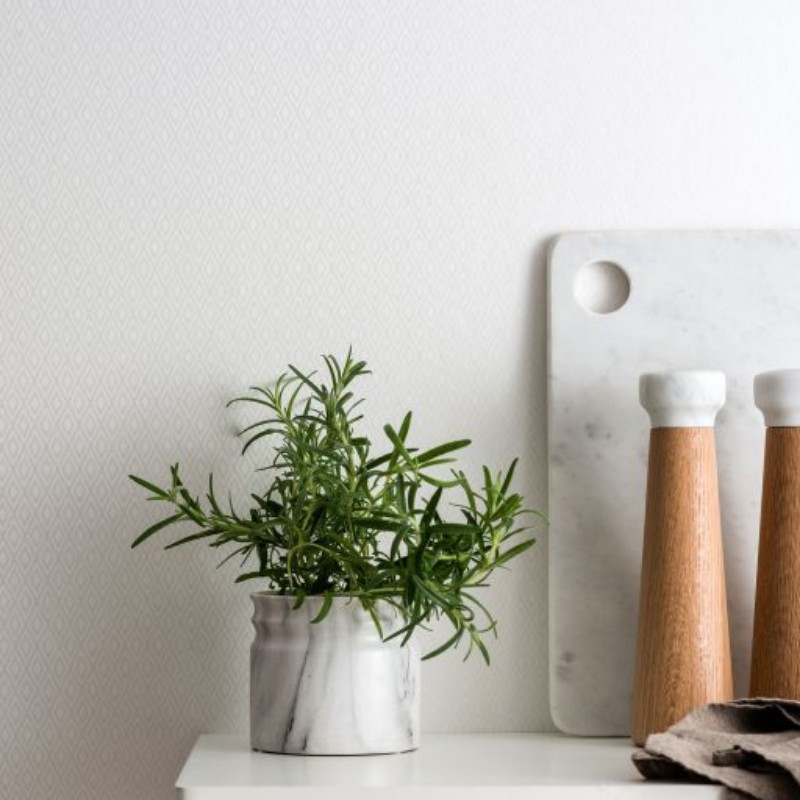 Bild på Gåsöga - 384-01