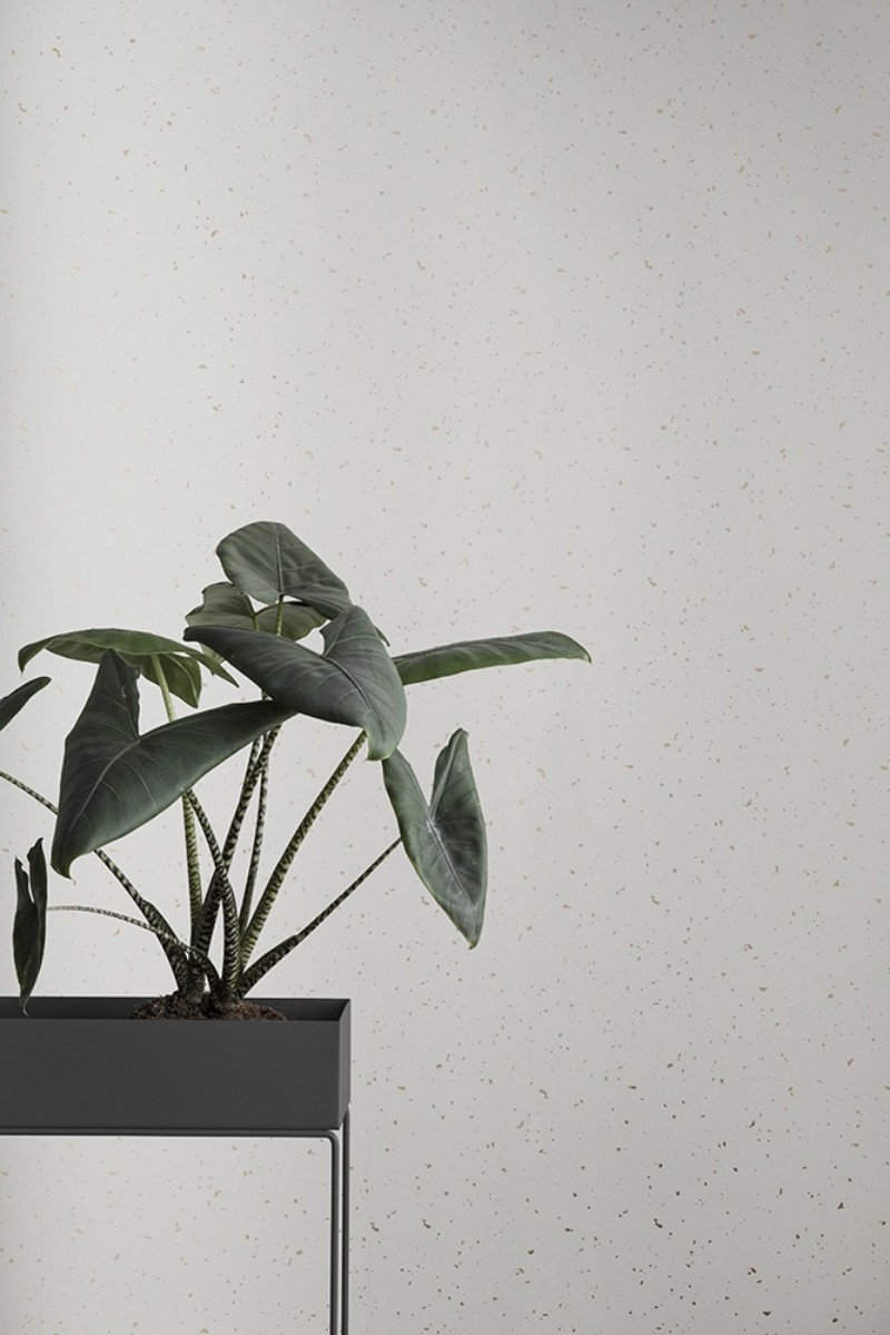 Bild von Confetti - 174