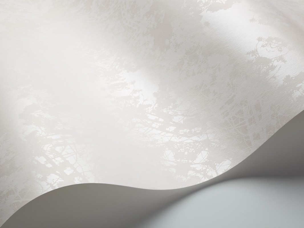 Picture of Snow Star - 1712