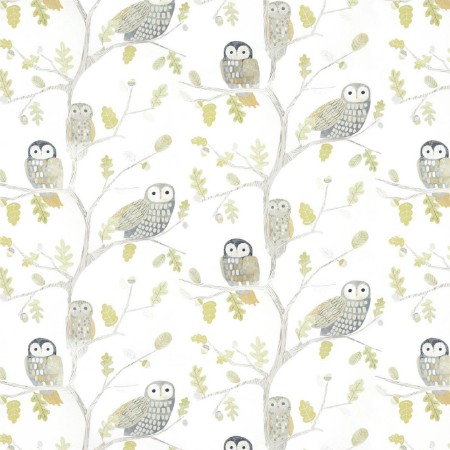 Picture of LITTLE OWLS - 112627