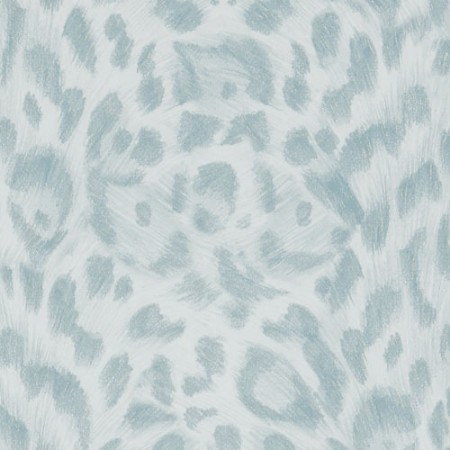 Bild på Felis - W011504