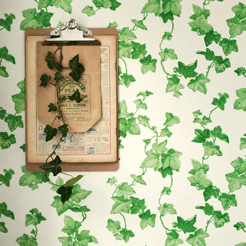 Obrázok z Hedera Green - 214593