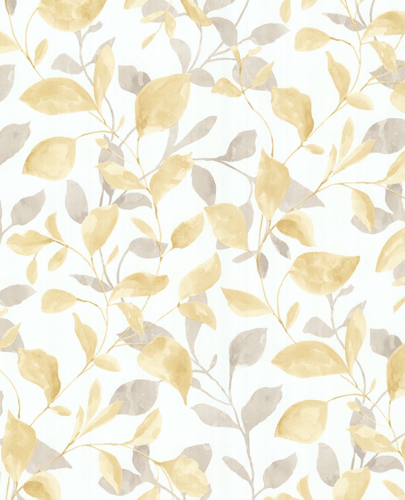 Picture of Grenada - 367024