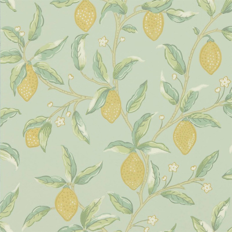 Picture of Lemon Tree - 216673-OUTLET