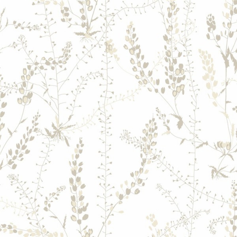 Picture of Bladranker - 1785-OUTLET