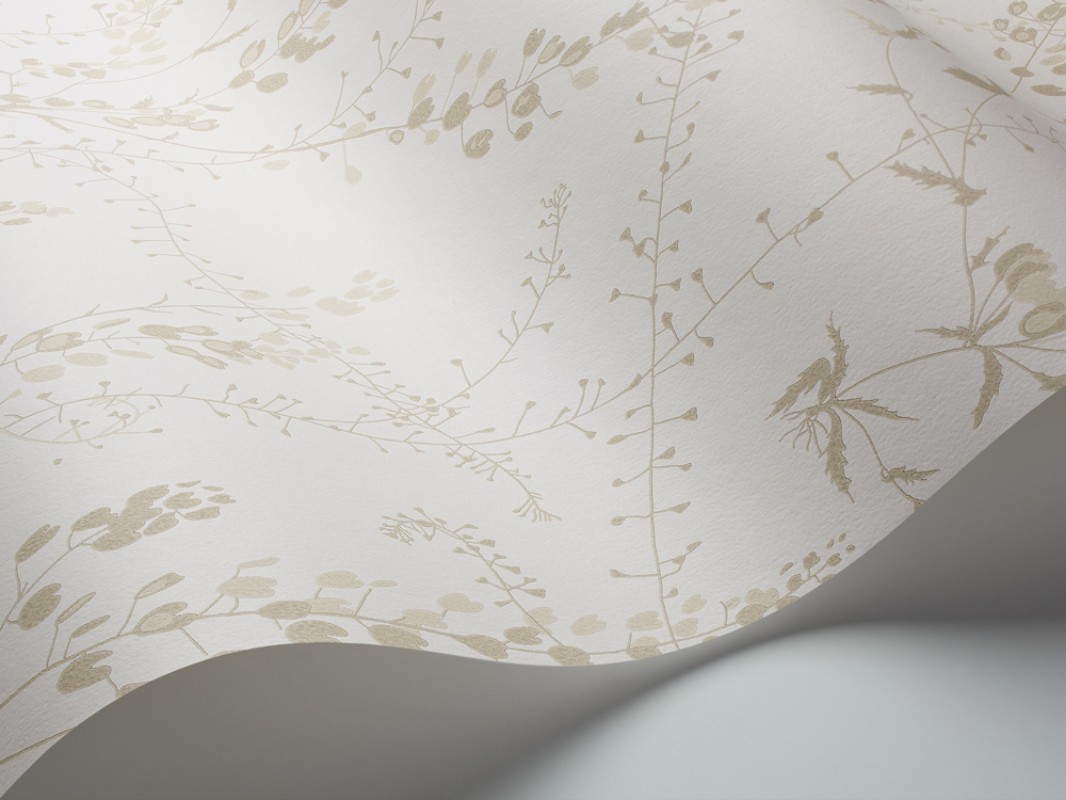 Picture of Bladranker - 1785-OUTLET