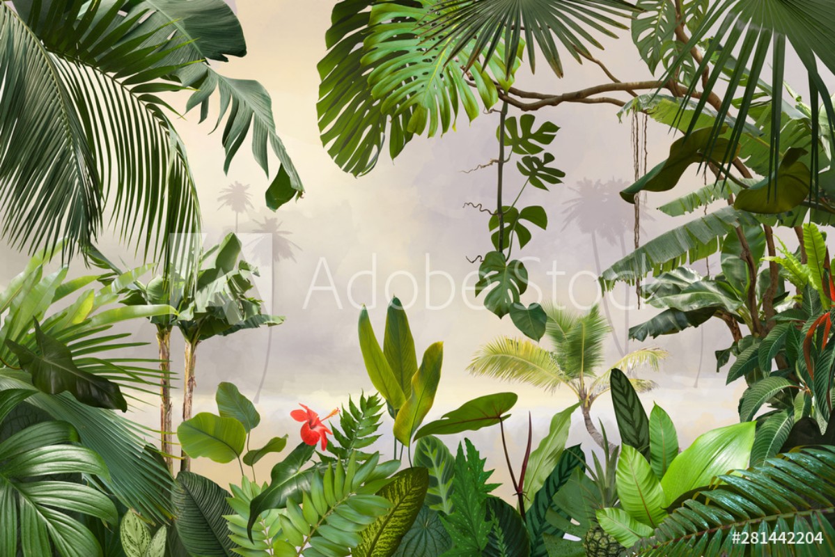 Picture of Tropical Palm and Banana Leaves