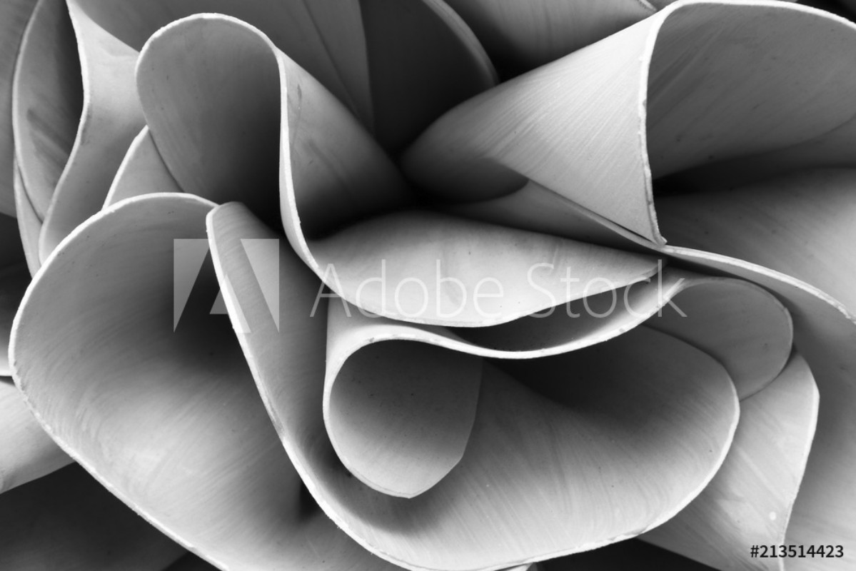 Wall mural Abstract lines on architecture modern architecture detail ...