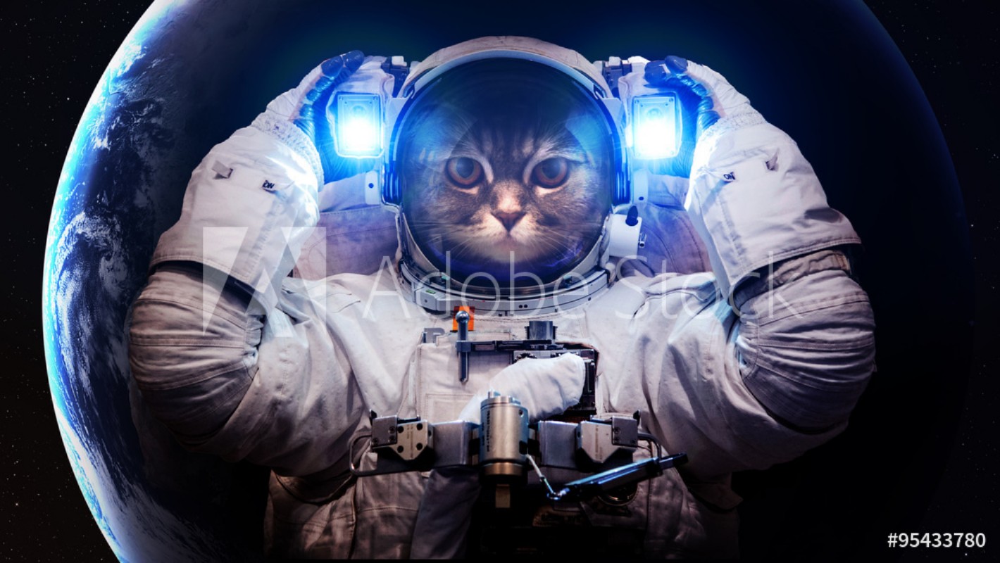 Mural de pared Beautiful cat in outer space Elements of this image ...