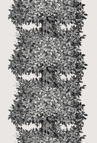 Bild vun Viola Gråsten Hassel - 1950