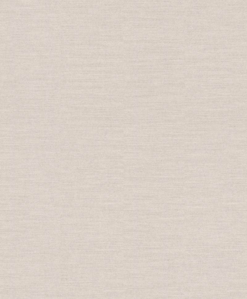 Obrazek Jaipur - 227740