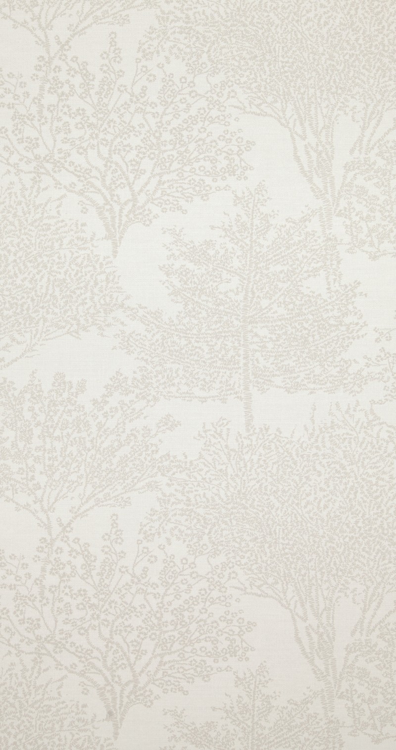 Immagine di Rice & Shine - 218926