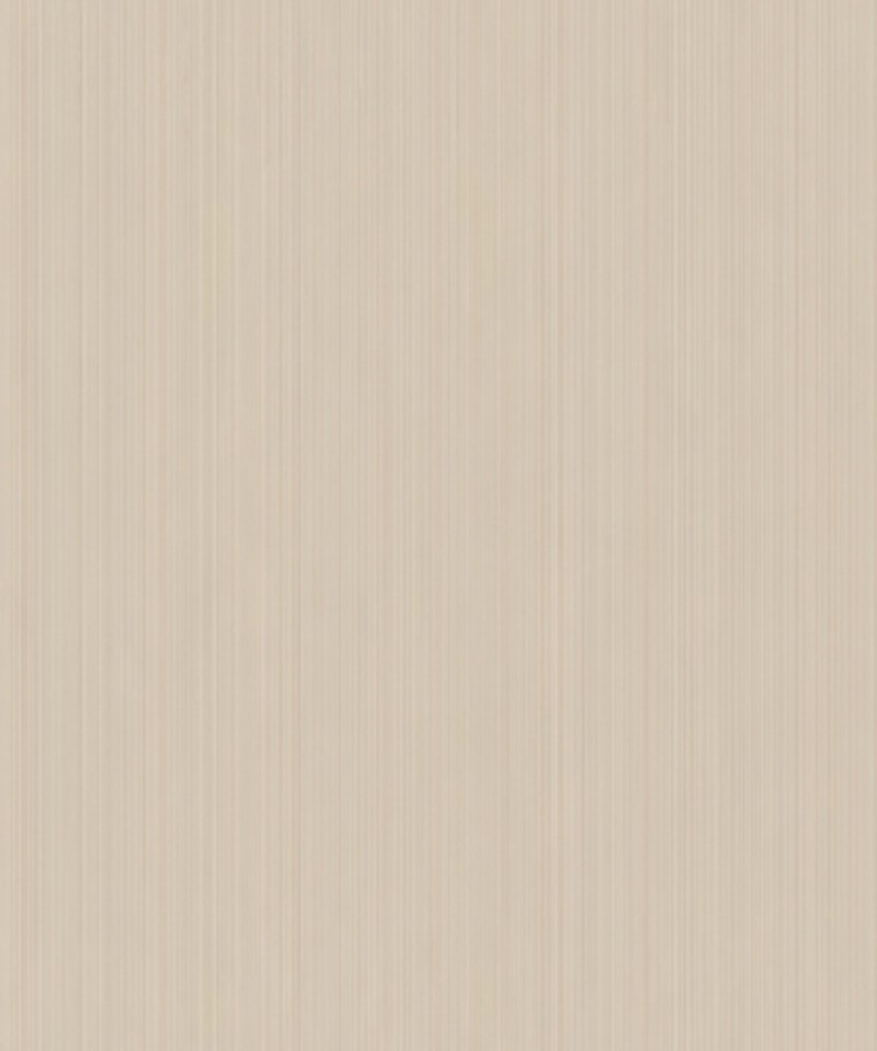 Bild von Texture Stories - 49114