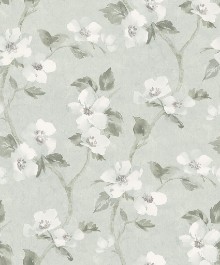 Bild von Helen´s Flower - 3585