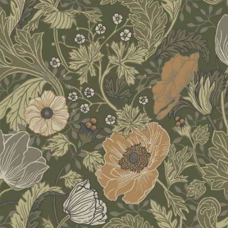 Pilt Anemone - 44104