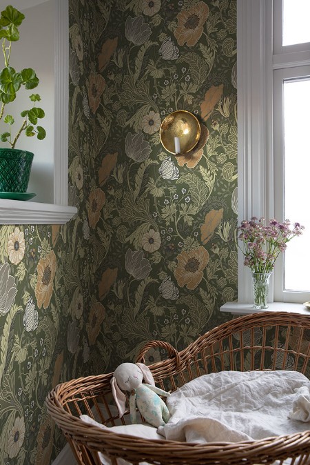 Pilt Anemone - 44104