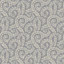 Pilt Wild Ferns - 2256
